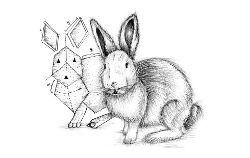 Illustration of a rabbit next to its prototype, a schematic representation of a rabbit